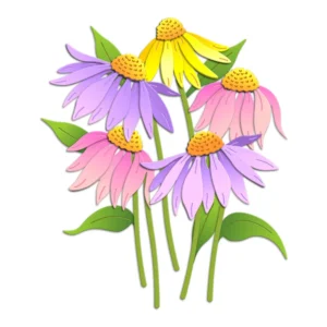 Sumflying Coneflower Echinacea Metal Cutting Dies Coneflower Echinacea Metal Cutting Dies 02