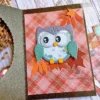Cute Owl Metal Cutting Dies 00