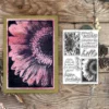 Floral Pattern Clear Stamps 00