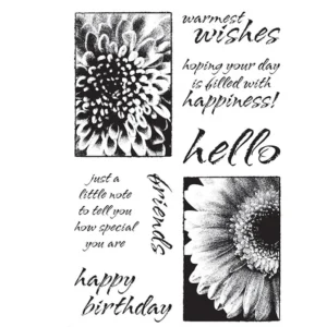 Floral Pattern Clear Stamps 05