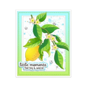Sumflying Fresh Lemon Metal Cutting Dies Fresh Lemon Metal Cutting Dies 04