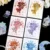 Complete Set (10% OFF)