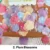 Plum Blossoms