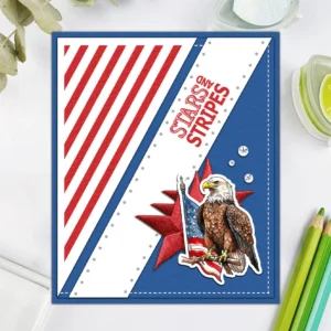 Sumflying Independence Day Elements Firework Clear Stamps Independence Day Elements Clear Stamps 03