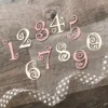 Lace Numbers Metal Die Cuts main product photo | word metal cutting dies