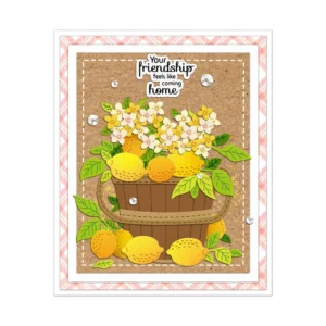 Lemons In A Bucket Metal Cutting Dies 04