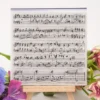 Musical Background Notes Stamp Set - main product photo | clear stamp