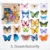 Colorful Butterfly