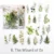 Green Plant