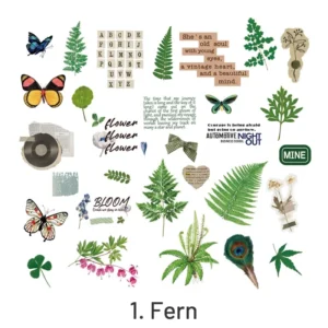 Fern