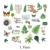 Fern