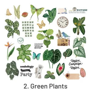 Green Plants