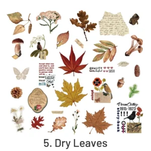 Dry Leaves