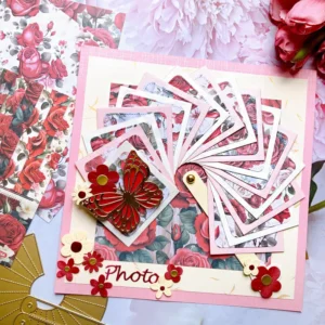 Pull Out Frame Metal Cutting Dies 02