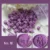 No. 16: Plum Purple
