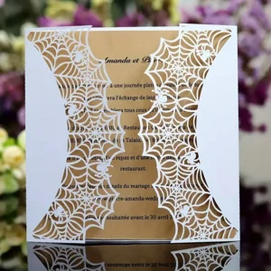 Sumflying Spooky Halloween Spiderweb Cutting Die Cuts Main View - SUM2508-LG24-6963